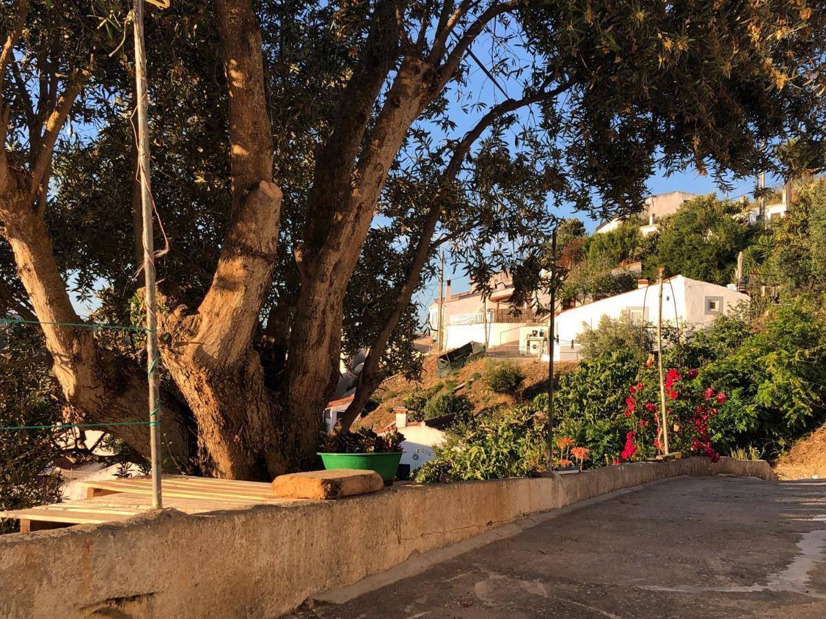 阿尔热祖尔Casa Anneli - Relaxing Under The Olive Tree别墅 外观 照片